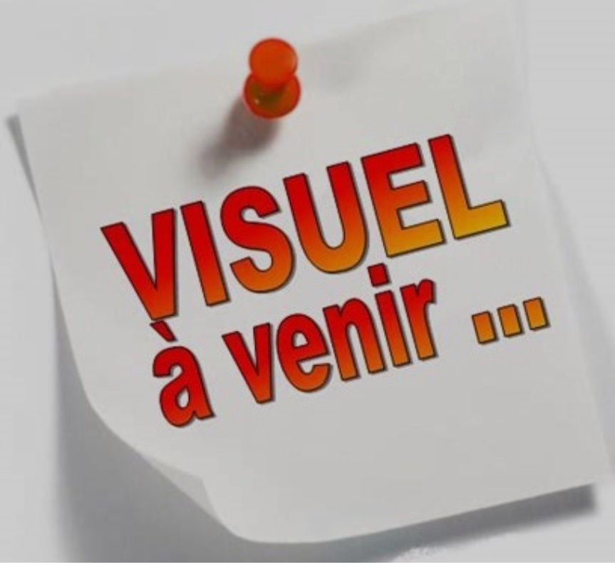 Miel 500g « TILLEUL » « Médaille d’Or au concours de La Capelle »